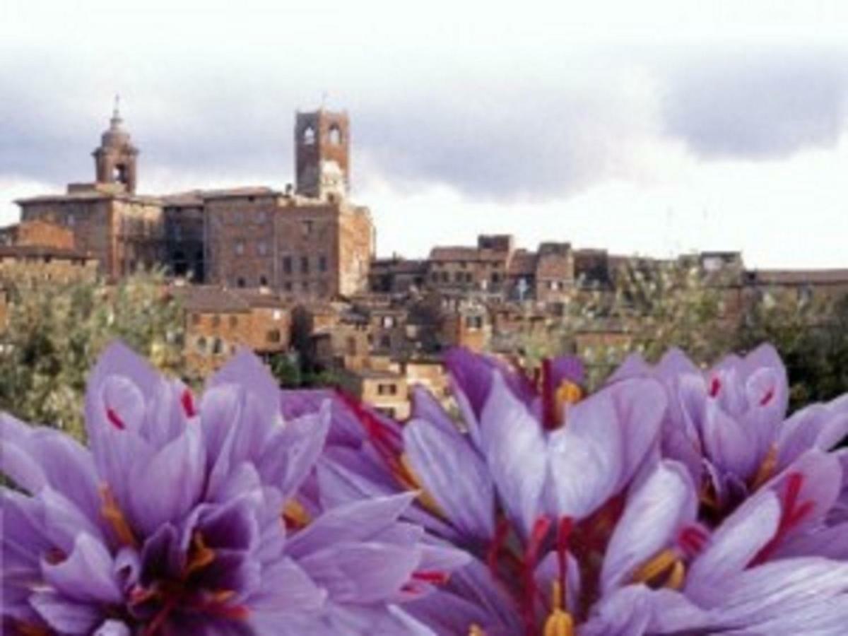 Romantico 36 Città della Pieve Kültér fotó